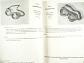 Katalog osobních ochranných pomůcek - Eduard Jírů - 1953