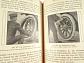 Ohne Chauffeur - Ein Handbuch für Besitzer von Automobilen und Motorradfahrer - Filius - 1924