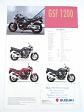Suzuki GSF 1200 S - prospekt - 1995