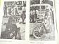 Mistrovství světa Holice - 24. května 1981 - Velká cena ČSSR 250 ccm - oficiální program - XXXI. ročník motokrosu O štít města Holic
