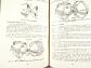 Lucas - Maintenance Instructions for Lucas Electric Lighting and Ignition Equipment for motor-cycles