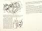 Motor Cycle Lubrication - C. C. Wakefield & Co., Ltd., London - Castrol