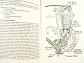 Motor Cycle Lubrication - C. C. Wakefield & Co., Ltd., London - Castrol