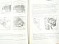 Tatra 815 VVN 6x6, VVN 8x8, VT 8x8 - Workshop Manual -1983