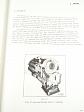 Tatra 815 VVN 6x6, VVN 8x8, VT 8x8 - Workshop Manual -1983