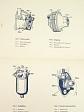 Bosch - Einspritz Ausrüstung von Fahrzeug Dieselmotoren - Störungen und ihre Behebung - 1934