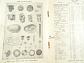 Villiers - Operating Instructions and Spare Parts List for the Villiers - Motor-cycle Engines Mk. 10D. 125 cc and Mk. 6E. 197 cc - 1950