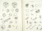 Panther - Illustrated Spares List for Panther Motor Cycle Model 100