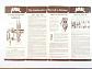 Amal - Hits & Tips for Vertical Horizontal & Inclined Needle-jet Carburetters - prospekt