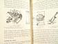 The Book of the Morgan - Harold Jelley - 1935 - Pitman's Motorists Library