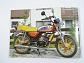 Zündapp 1981 - ZA 25, ZX 25, ZL 25, CS 25, ZD 40, CS 50, hai 50, GTS 50, R 50, KS 80, KS 175 - prospekt