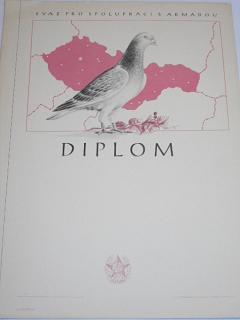 Svazarm - Svaz pro spolupráci s armádou - diplom - 1954 - poštovní holub
