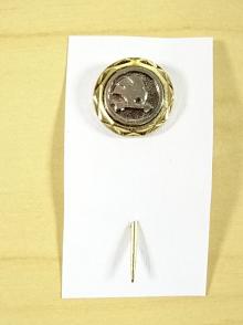 Škoda - odznak