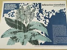 Chraňme ohrožené rostliny - plakát - 1977