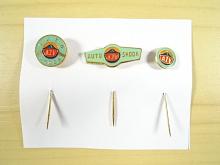 Auto Škoda - AZV - Vrchlabí - odznak