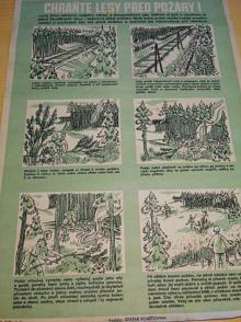 Chraňte lesy před požáry! - plakát - 1953 - Státní pojišťovna