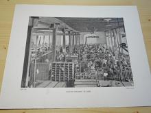 Baťovy továrny ve Zlíně - fotografie - tisk - foto Felix Goltz
