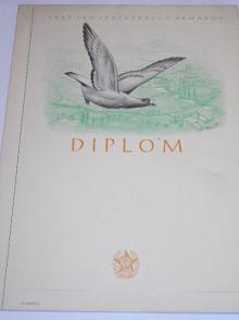 Svazarm - Svaz pro spolupráci s armádou - diplom - 1954 - poštovní holub